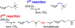 Mechanism of Methyldehydrofosmidomycin Maturation: Use Olefination to Enable Chain Elongation